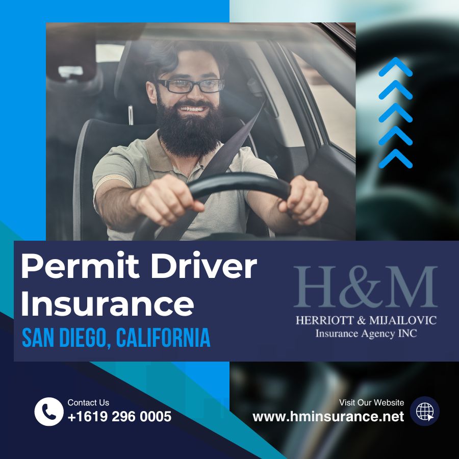 learner license car insurance